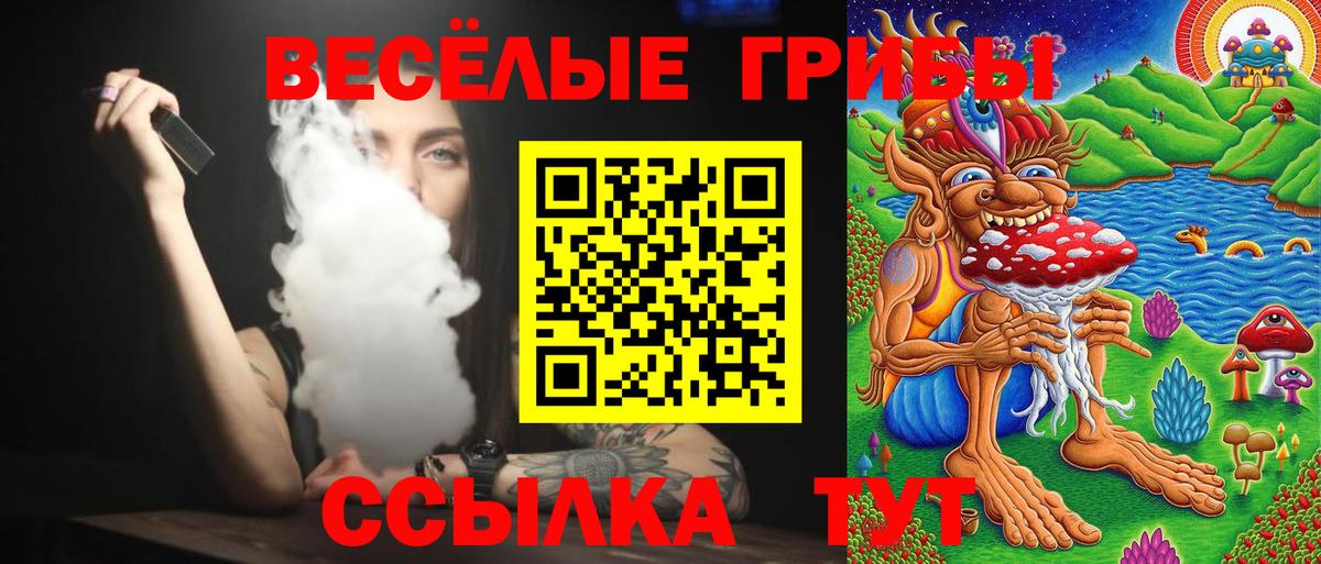 Псилоцибиновые грибы Cubensis Большой Камень