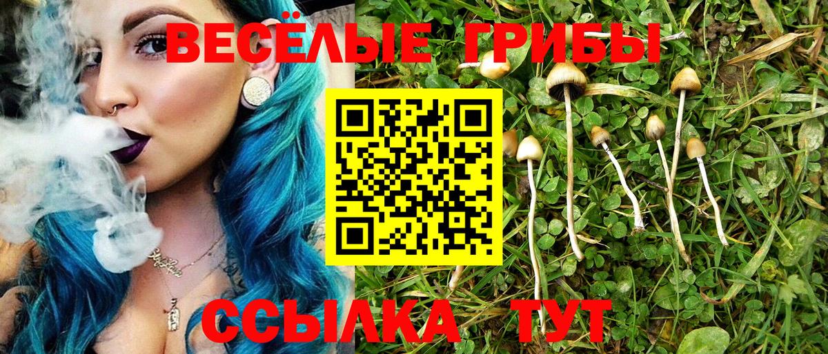 как найти наркотики  Галлюциногенные грибы Psilocybine cubensis  Вход с VPN  Большой Камень 